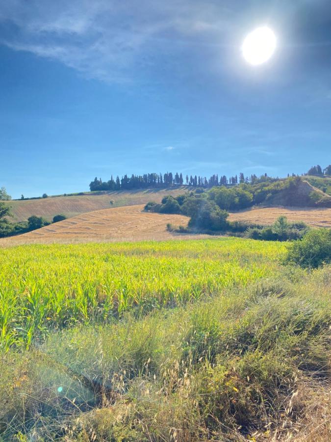 Agriturismo I Moricci Peccioli Extérieur photo