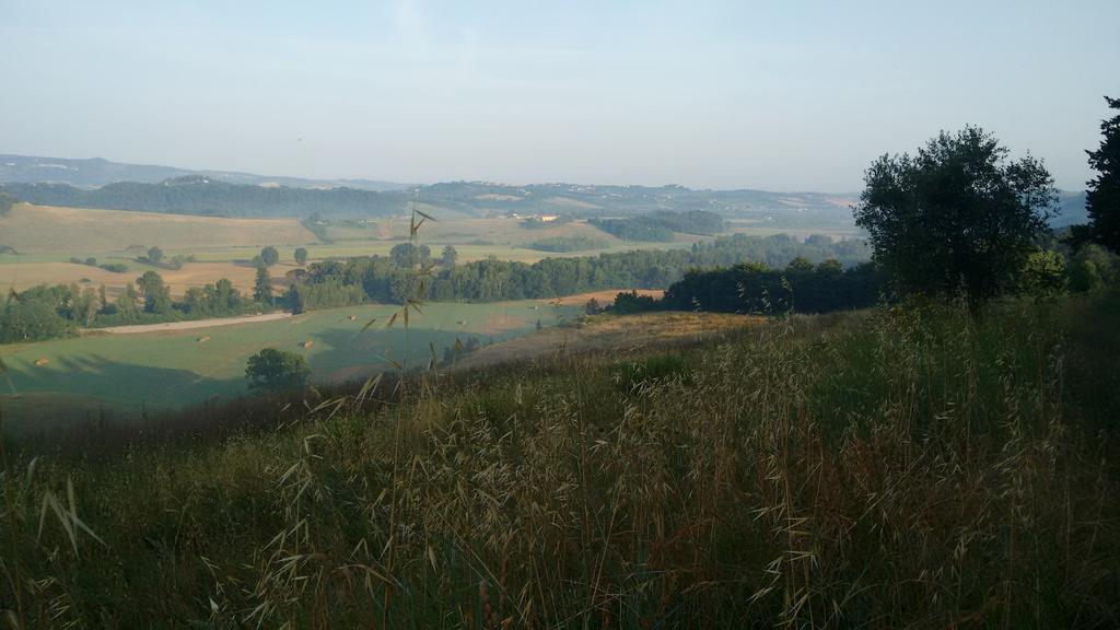 Agriturismo I Moricci Peccioli Extérieur photo