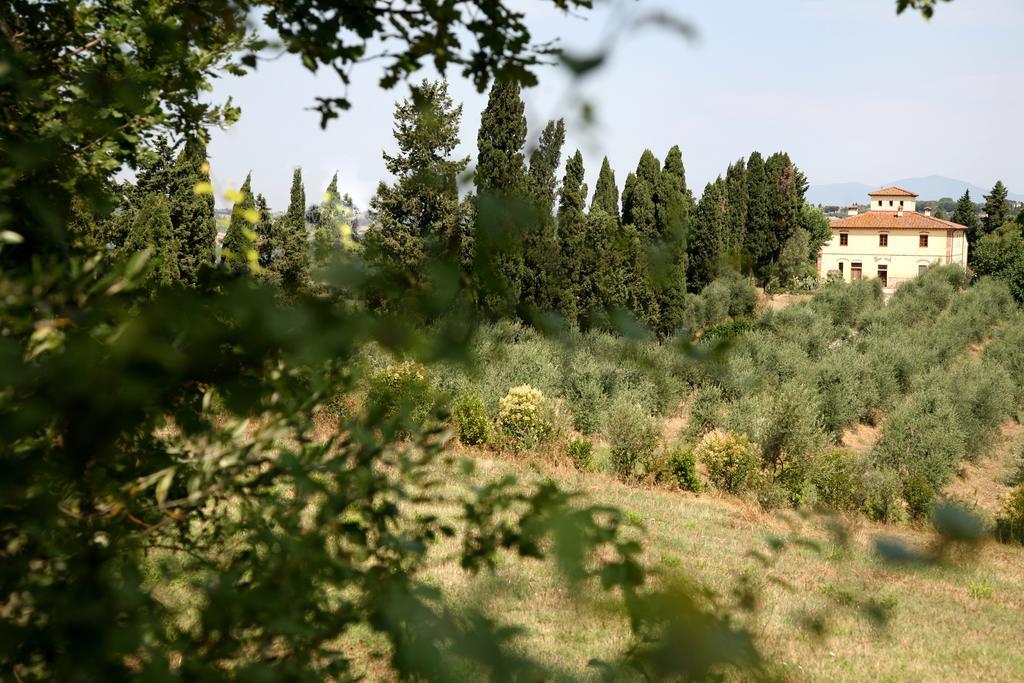 Agriturismo I Moricci Peccioli Extérieur photo